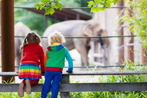 8 Tips on Saving Money at the Zoo