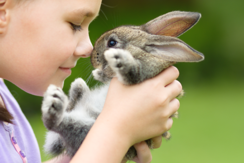 How to Teach Your Children to Be Gentle With Animals