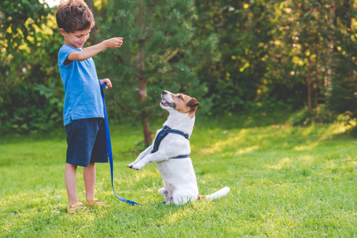 How to Teach Young Children to Behave Around Dogs